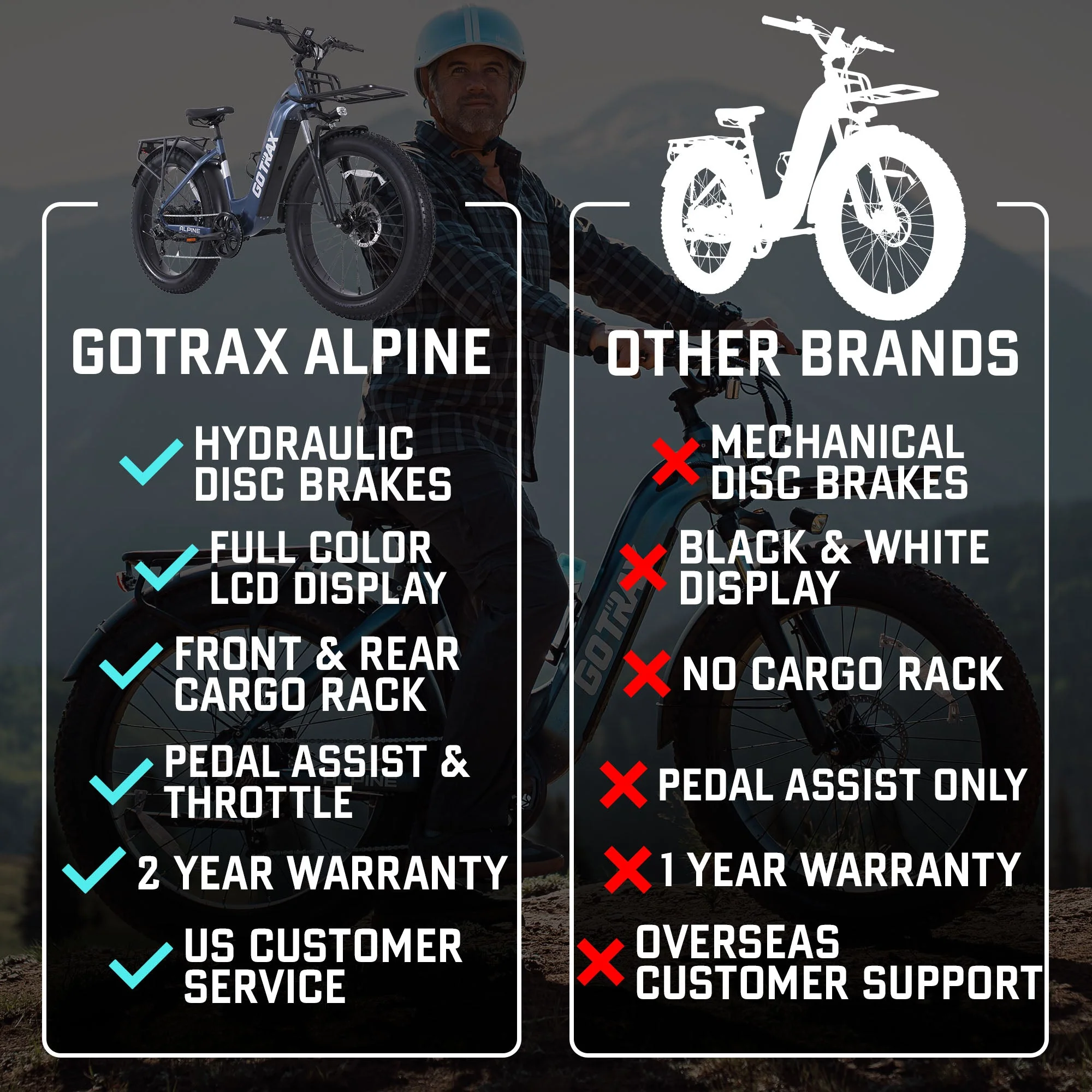 Alpine Fat Tire eBike - Image 4
