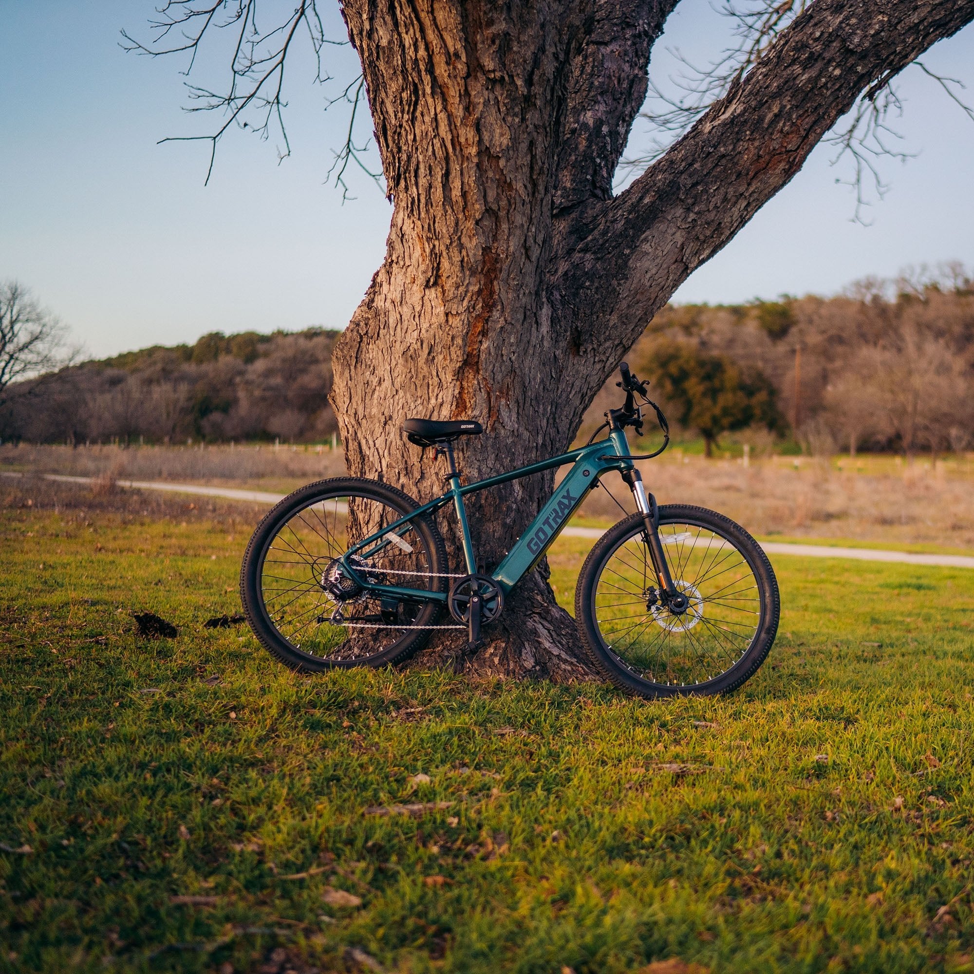 D1RT Electric Mountain Bike - Image 16