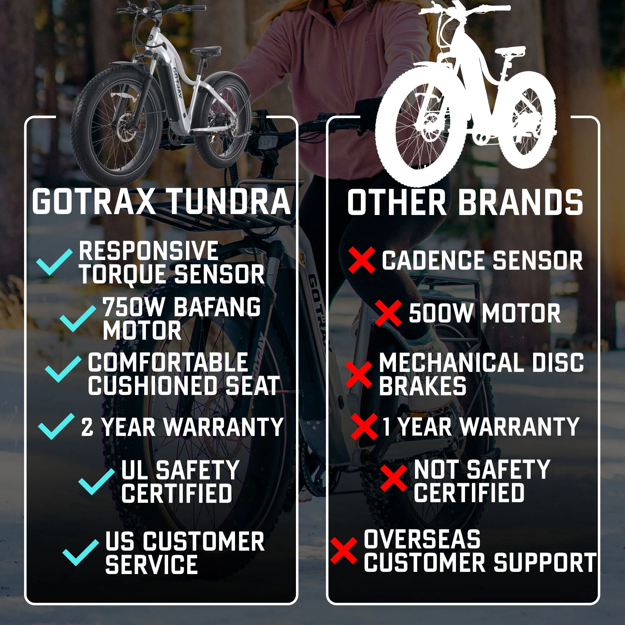 Tundra Fat Tire Electric Bike - Image 4